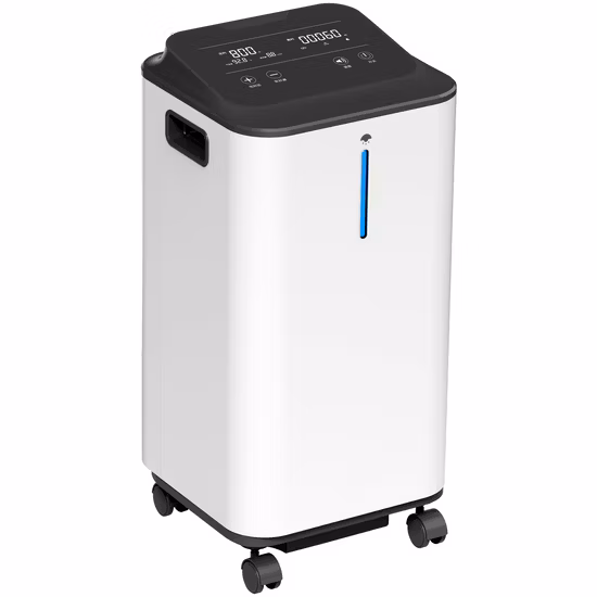 1-5L Adjustable Oxygen Concentrator Inhalation for Home/Hospital Physical Therapy with CE/ISO13485 Certification