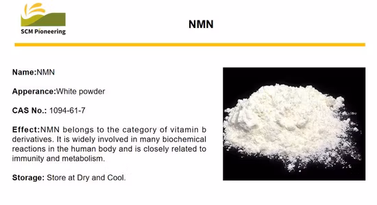 Health Care Nicotinamide Mononucleotide 1094-61-7 Nmn